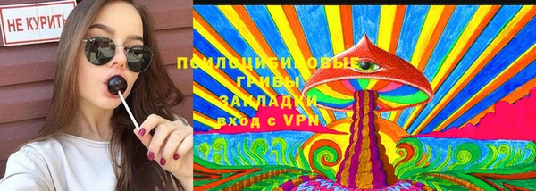spice Новозыбков