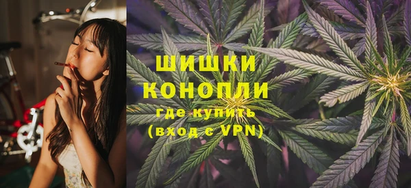 spice Новозыбков