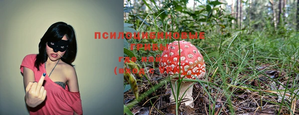 трава Новокубанск