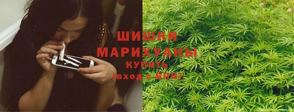 трава Новокубанск