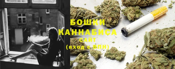 spice Новозыбков