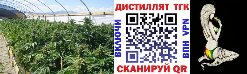 Купить Чита ТГК THC oil