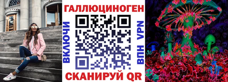 Купить закладки  Чита  Псилоцибиновые грибы Cubensis 